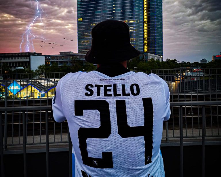 Stello 24